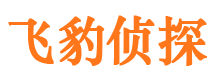 河南市侦探公司